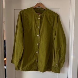 Toast Raised Stripe Cotton Poplin Shirt in pea shoot